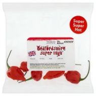 Tesco Stock Bedfordshire Super Naga - UK's Hottest Chilli Pepper