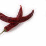 US Chilli Faces Competition
