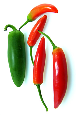 Red and green chillis