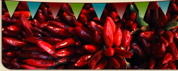 Click to download Adobe Flash Player to view the slideshow