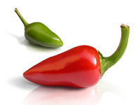 The Devon Chilli Fiesta 2014