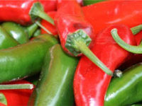 Nottingham Chilli Festival