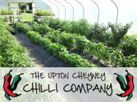 Upton Cheyney Chilli Farm Open Day, Bristol
