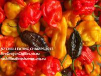 Hallertau's Chilli & Hope Fest